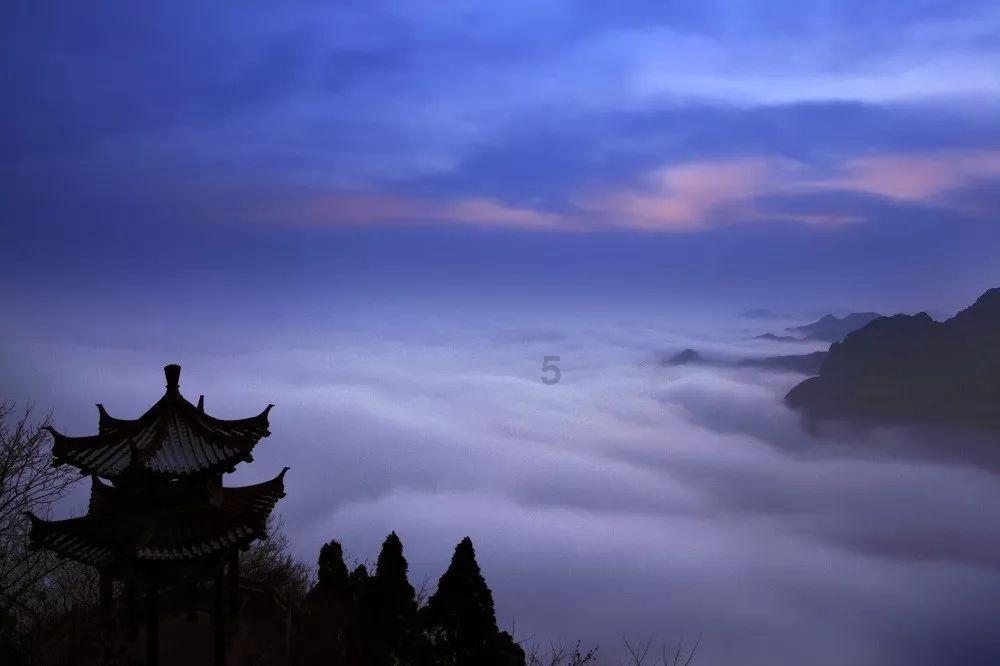 苏州:腊梅相伴小寒来 水墨画里学民俗