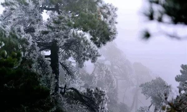 懒惰男孩拯救