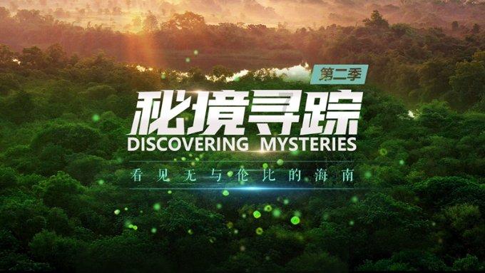 你能接受一直单身吗？为什么？游戏画面