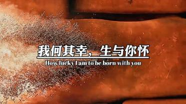 体验第戎蛋糕零下35度速冷保鲜,一场舌尖上的新鲜之旅